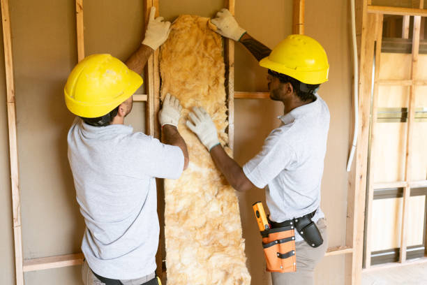 Best Basement Insulation  in Dewitt, AR